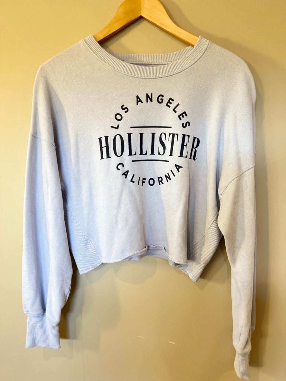Hollister Light Blue Cropped Logo Sweatshirt
